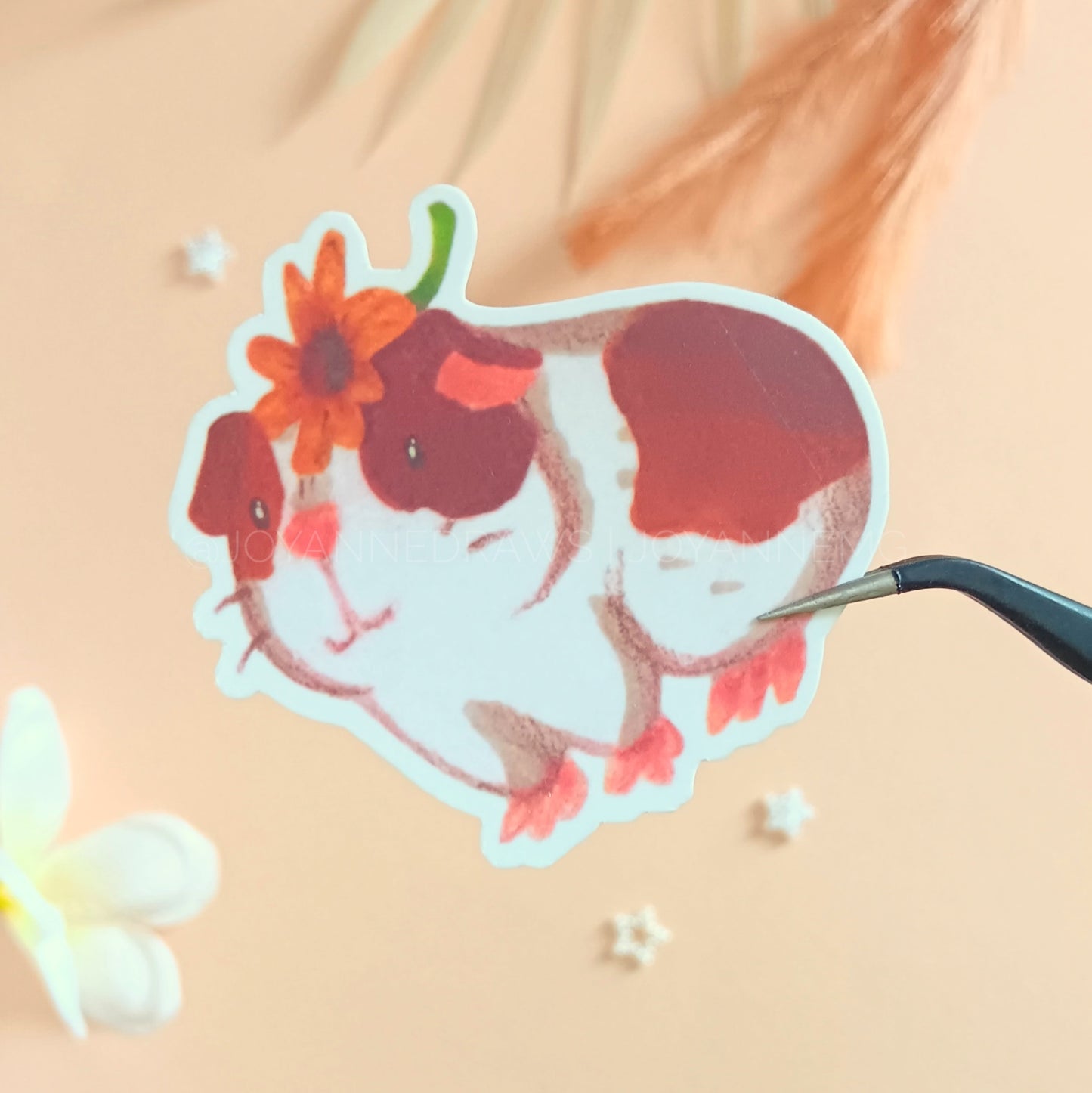 Guinea Pig