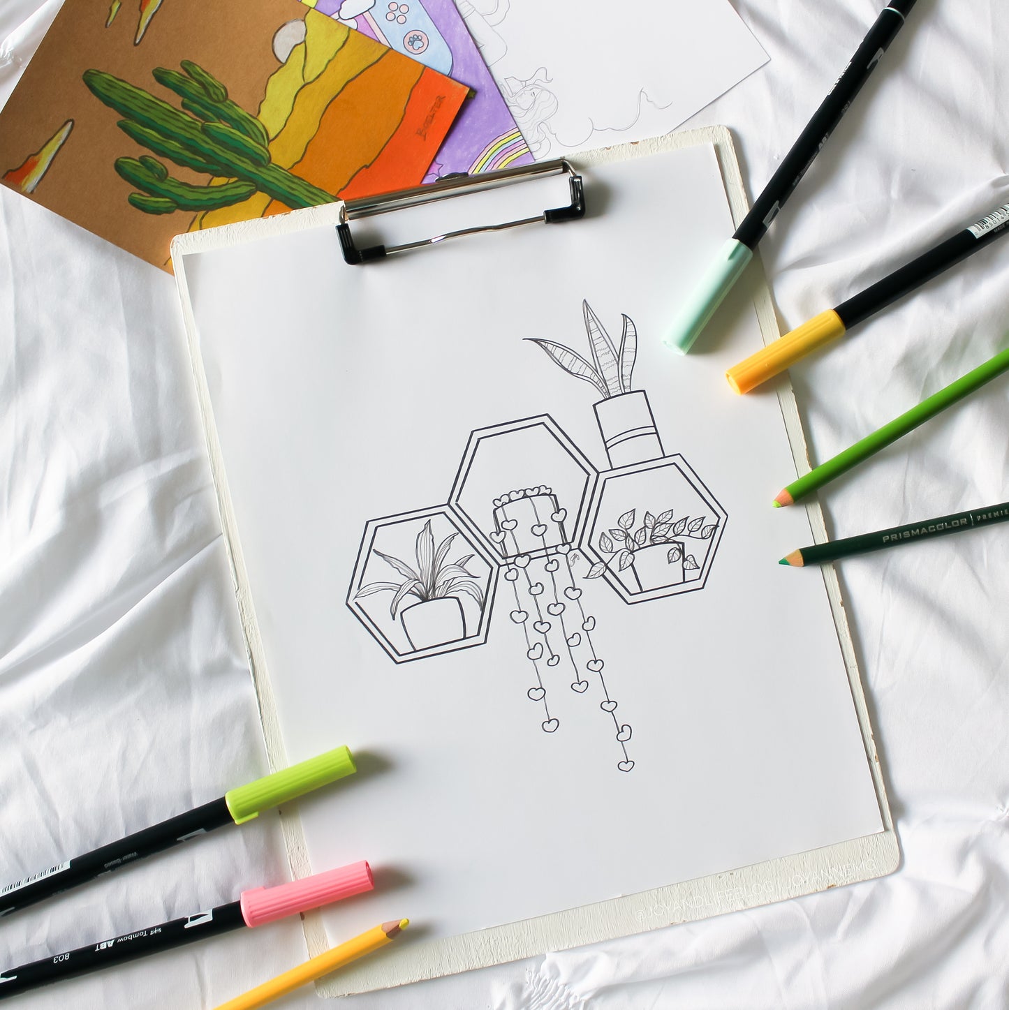 Houseplant Coloring Page