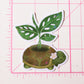 Cute Turtle Planter Vinyl Sticker